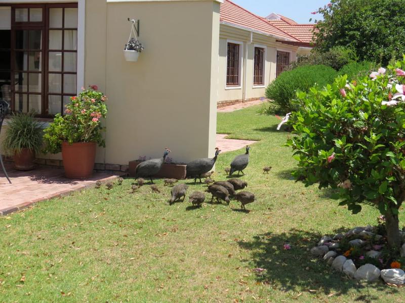 1 Bedroom Property for Sale in Kleinmond Western Cape